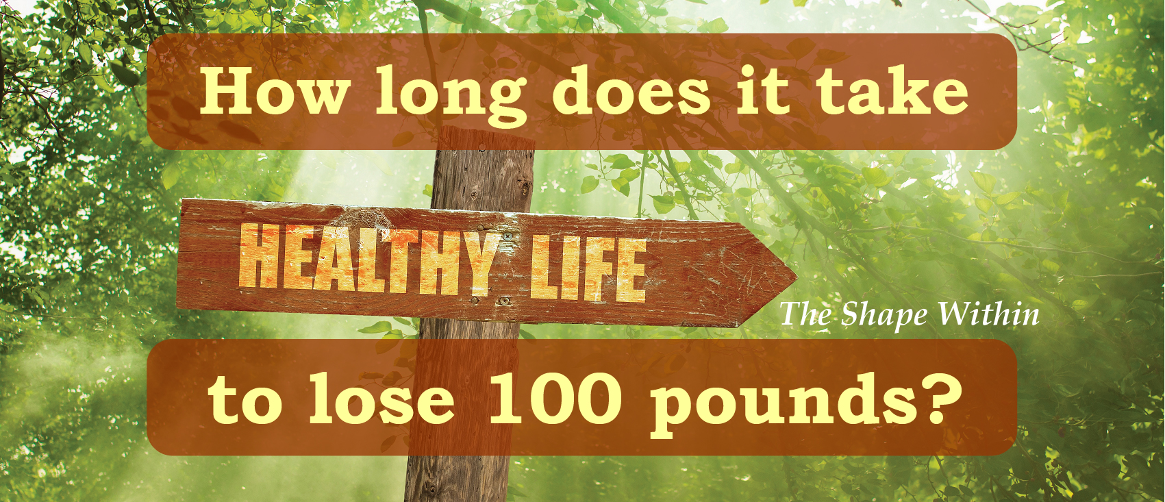 Learn how to lose 100 pounds in a year, the healthy way