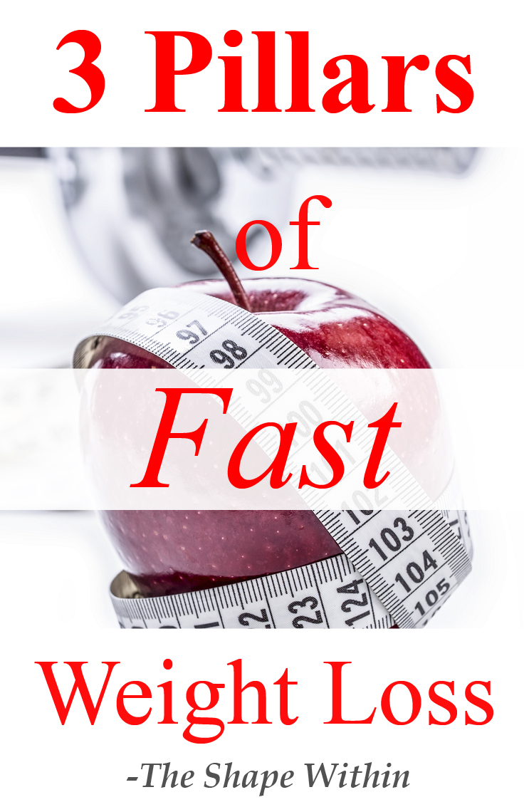 The 3 things that are needed for rapid weight loss- Focus on these important parts of losing weight and not only will you burn fat quickly, you will get the maximum result for your effort | TheShapeWithin.com