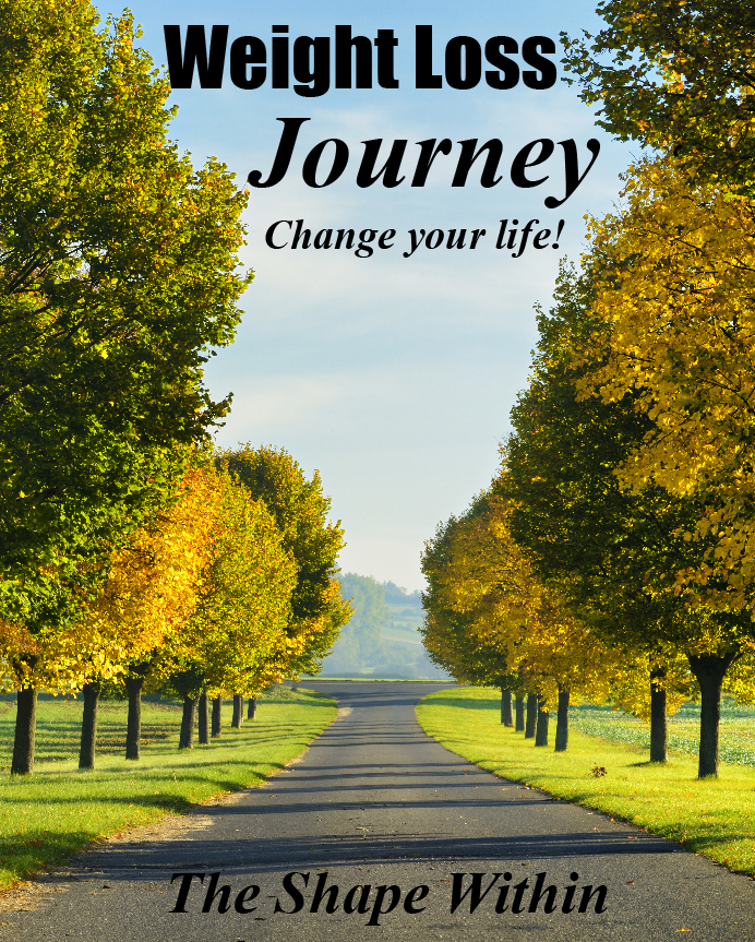 Weight Loss Journey is a gradual weight loss program that is designed to help you start eating healthy foods and exercising gradually, so that the habits which make you lose weight will become a permanent part of your lifestyle | TheShapeWithin.com